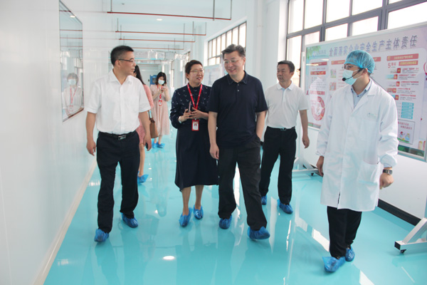 合肥市新站高新区党工委书记、管委会主任路军一行莅临suncitygroup太阳集团调研