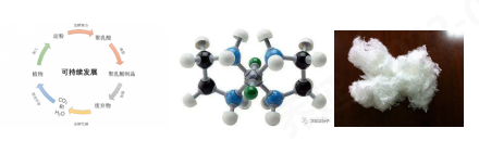 suncitygroup太阳集团