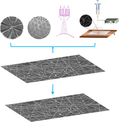 suncitygroup太阳集团