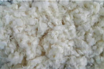 suncitygroup太阳集团